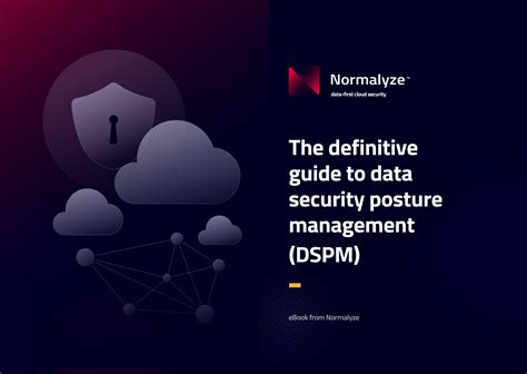 The Definitive Guide To Data Security Posture Management Apexlead