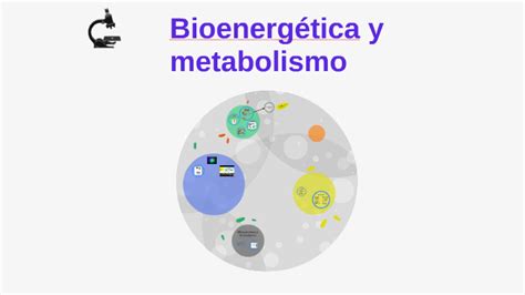 Bioenergética y Metabolismo by Angela Rozo on Prezi