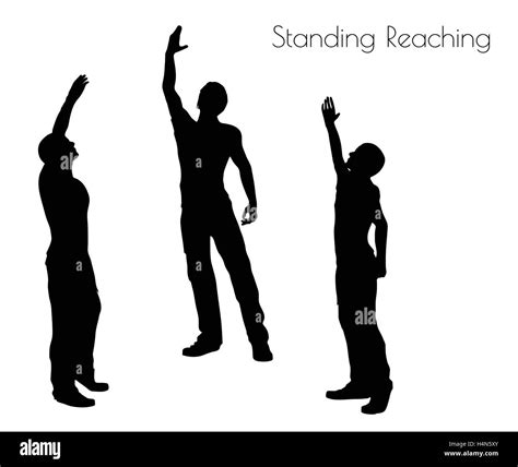 EPS 10 Vector Illustration Of A Man In Standing Reaching Pose On White