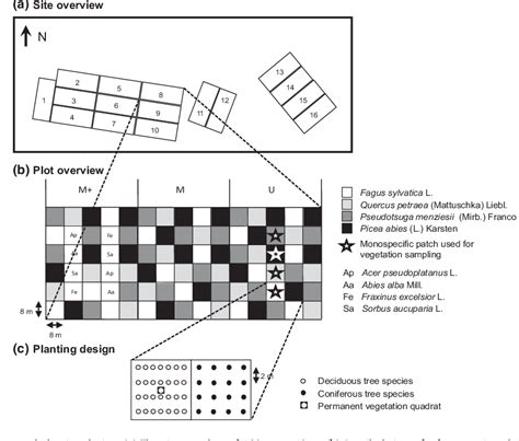 Figure 1 From Disentangling Tree Species Identity And Richness Effects