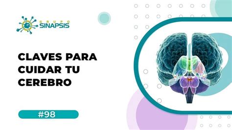 Claves para Cuidar tu Cerebro Cuídate Neurociencia Cerebro