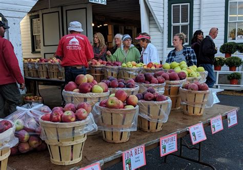 Apple Harvest Festival Anett Lenore