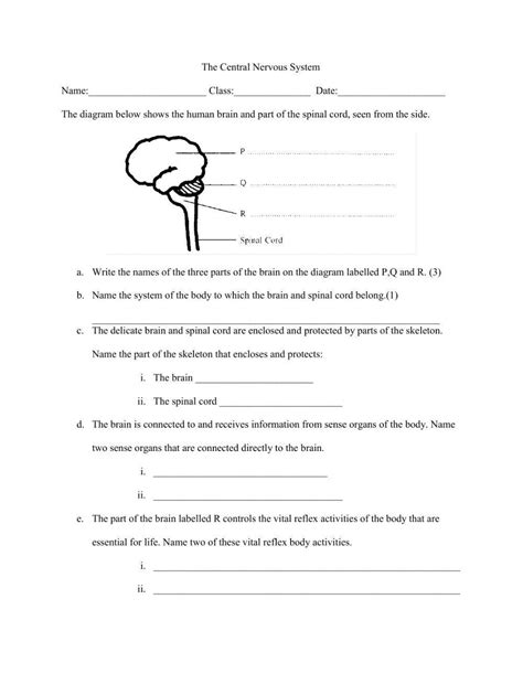 Nervous System Online Worksheet For Live Worksheets Worksheets