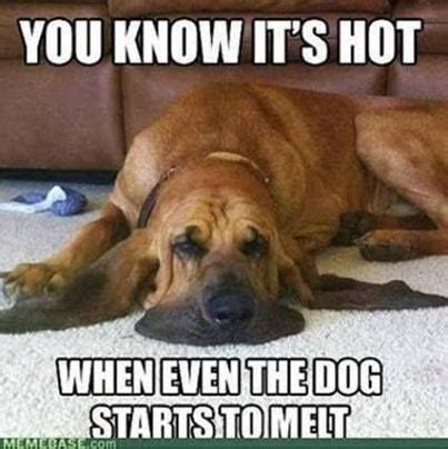 'It's a dry heat' and other summer memes | | tucson.com