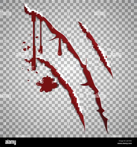 Bloody Scratch Marks Vector Incised Wounds With Blood Drops Blood