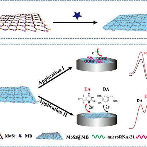 A Schematic Synthesis Of MoS2 MB Nanohybrid B Schematic Diagram Of