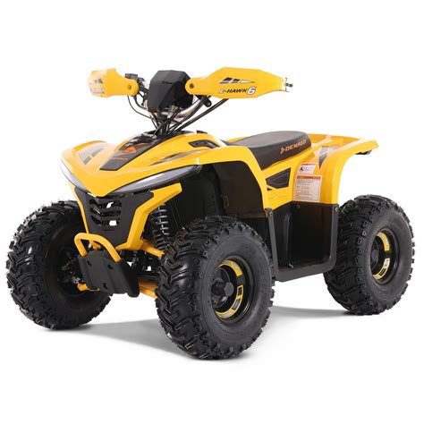 Electric ATVs - DENAGOPOWERSPORTS.com