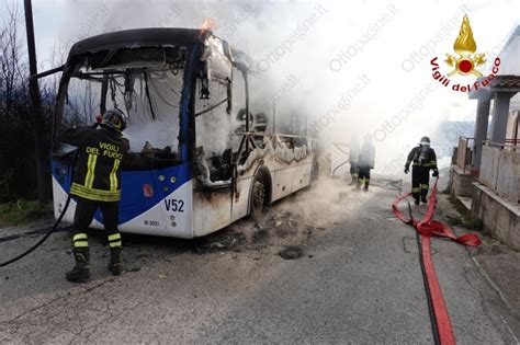 Bus Air In Fiamme Paura A Santa Paolina Autista Mette In Salvo