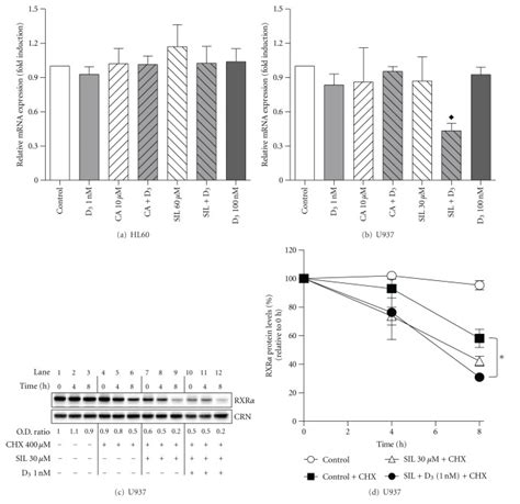 Effects Of Carnosic Acid Silibinin And 1 25D Alone And In