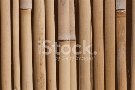 Bamboo Screen Stock Photo | Royalty-Free | FreeImages