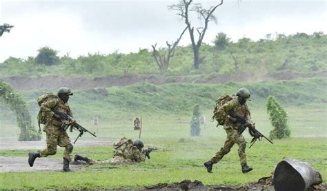 34 Suspected Adf Rebels Captured In Ongoing Military Operations In Drc