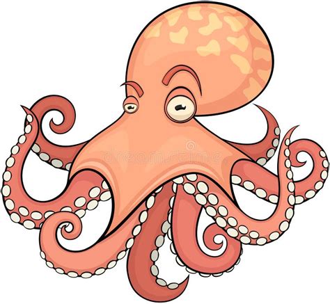 Peach Octopus Stock Illustrations 35 Peach Octopus Stock Illustrations Vectors And Clipart