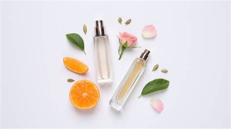 3 Perfumes Veganos Que Você Precisa Conhecer E Experimentar