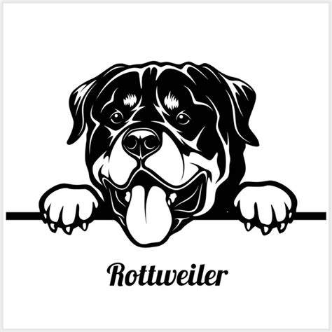 ᐈ Rottweiler Logo Vectores De Stock Ilustraciones Rottweiler Logo