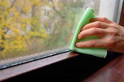 high humidity home levels top signs iaqworks