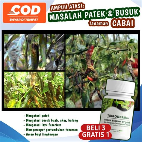 Jual Alfagreen Pupuk Trikoderma Beli 3 Gratis 1 Tricoderma