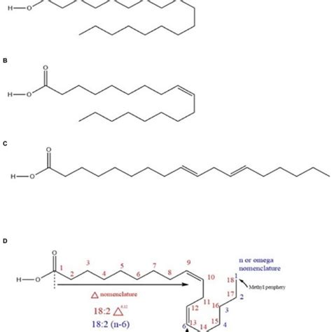 A A Saturated Fatty Acid Stearic Acid B A Monounsaturated Fatty