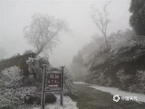 寒潮来袭 江西北部多地降今冬初雪 图片频道