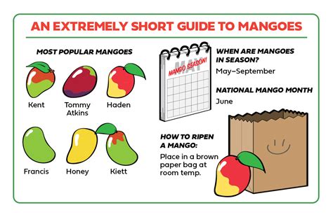 Guide To Mangoes The Table By Harry And David