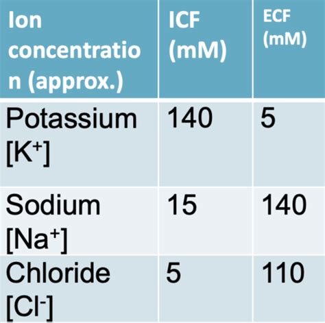 Body Fluid Compartments Semester 1 Flashcards Quizlet