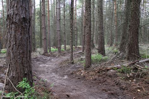 Baueinsatz im Mühltal RSV Rederberch e V