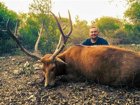 World Record Pere David Deer Vlrengbr