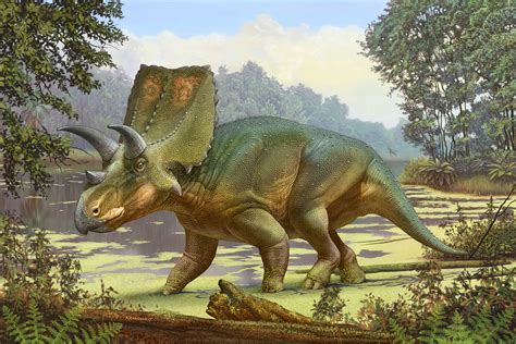 New Horned Dinosaur Species Identified In New Mexico Scinews