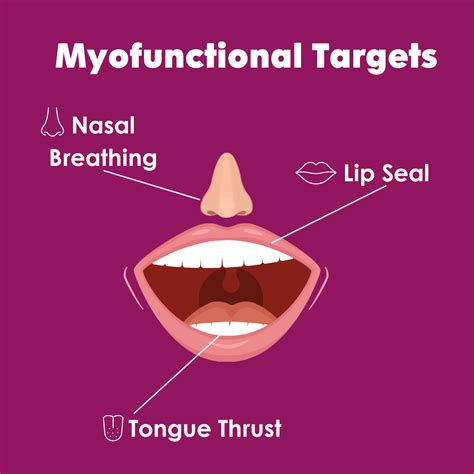 Myofunctional Therapy The Speech Associates