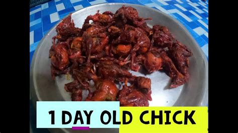 1 Day Old Chick Deep Fried Chick Ll Eating Balut Fertilized Boiled