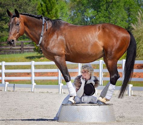 How To Teach Your Horse To Stand On A Pedestal — Sandra Beaulieu