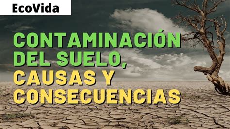 10 Consecuencias De La Contaminación Ambiental Colombia Verde