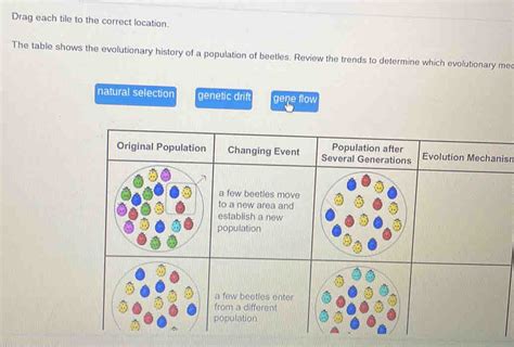 Drag Each Tile To The Correct Location The Table Shows The