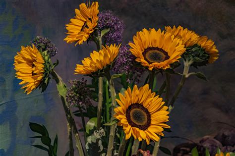 Golden Flowers Free Stock Photo Public Domain Pictures