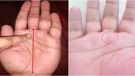 Palmistry भाग्यशाली लोगों की हथेली में होती है शनि रेखा कुबेर देव की कृपा से बरसता है धन