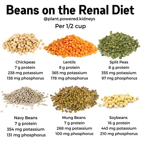 Potassium In Chickpeas And How To Enjoy Them In A Renal Diet