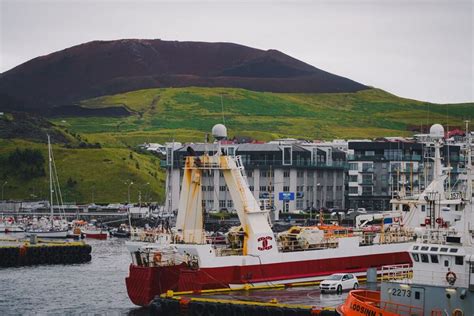 Vestmannaeyjar Island Volcanoes And Puffins Tour