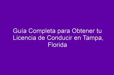 Guía Completa para Obtener tu Licencia de Conducir en Tampa, Florida