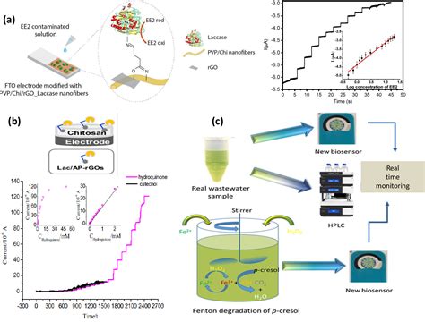 Figure 1 from Recent Prospects of Carbonaceous Nanomaterials-Based ...