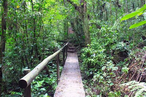 Caverna Do Diabo S O Paulo Fabi Gama Roteiros De Viagem