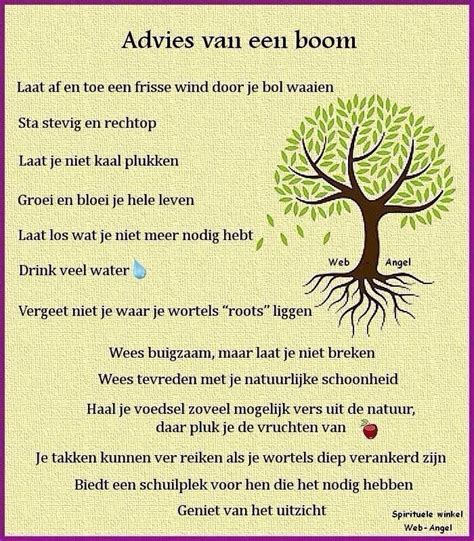 Wijsheid Van De Boom Spiritualiteit Citaten Woorden Citaten Woorden