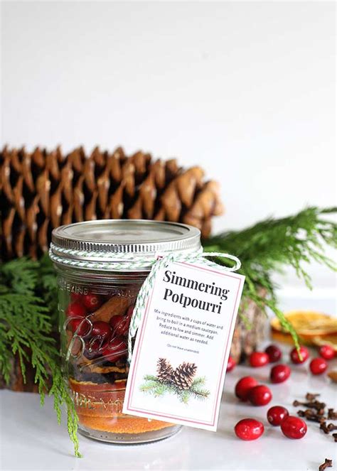 Diy Simmering Potpourri Gift And Printable Tag House Of Hawthornes