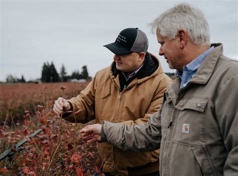 Dave Martin Farms Oregon Blueberry