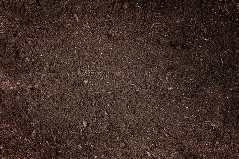 Dark Brown Soil