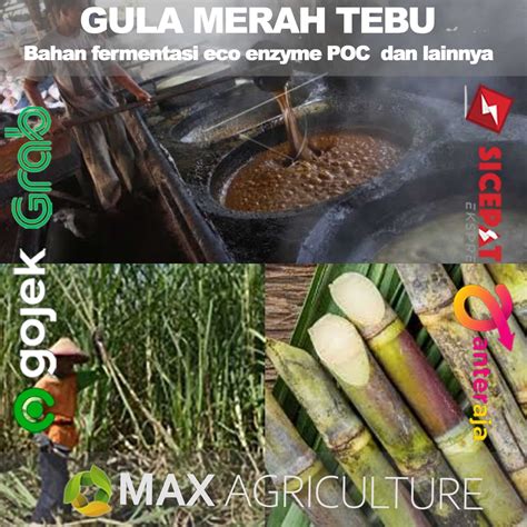 Jual GMT Gula Merah Tebu Asli Outheng Gula Awur For Eco Enzyme Dan