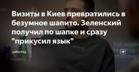 Визиты в Киев превратились в безумное шапито. Зеленский получил по ...