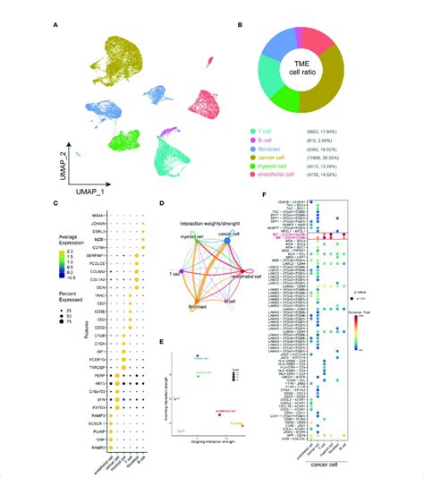 Overview Of Cellular Heterogeneity Of Integrated Single Cell Expression