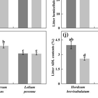 Effects Of Plant Species P And Endophyte Status E On Aboveground