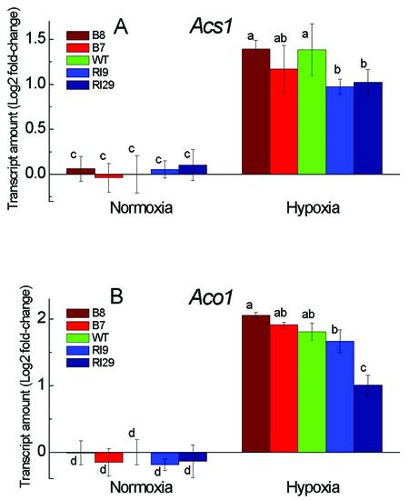 Ijms Free Full Text The Role Of Alternative Oxidase In The