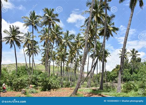 Horsley Hills Andhra Pradesh India Editorial Stock Photo Image Of