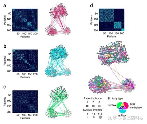 易基因：多组学关联分析及组学分子实验验证方法（表观组转录组微生物组）｜干货系列 知乎